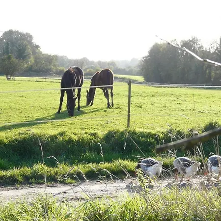 Charmante Maison Typique 