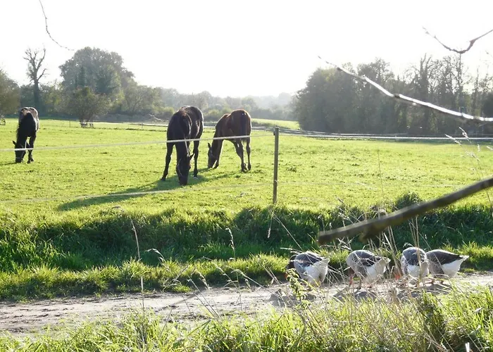 Charmante Maison Typique 