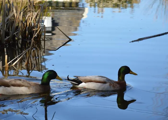 Charmante Maison Typique 
